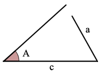 Ass Triangle 77
